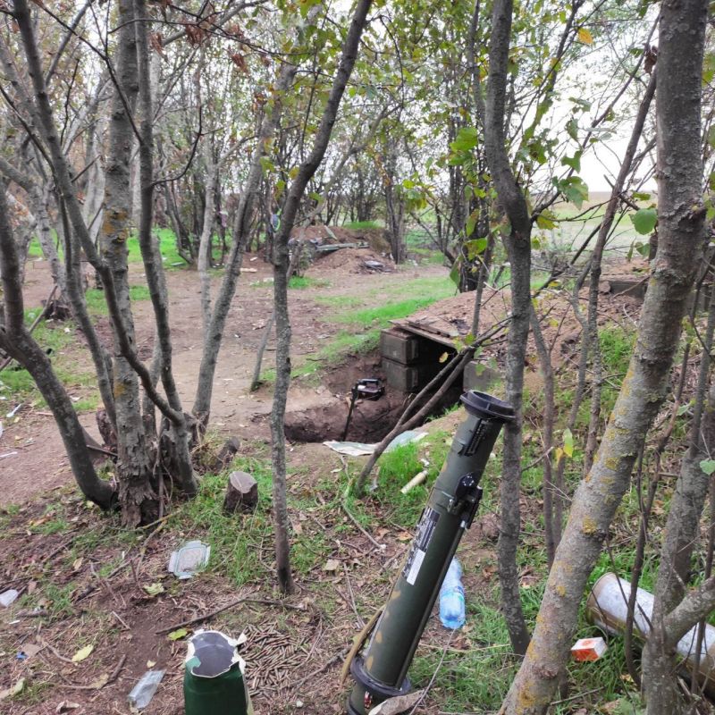 ������ ���������: ������� �������� 810-�� ������� ������������� ����� �� � ������ ������ ���������� ���������� ������� ���������� ���������