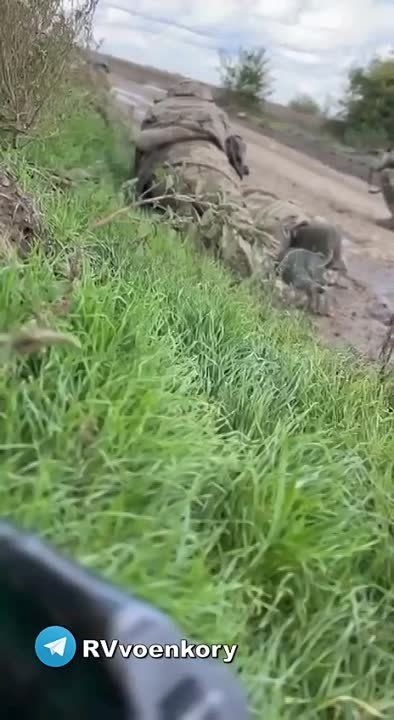 ��� � ���� ����������� ��� �� ����������: ���� �������� �� ����� ����� � ���� ������