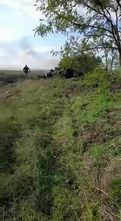 ������ �������: ���������� �����������. ����������� ������ ��� ��������� ���������� � ���� �������� ���������� ������...