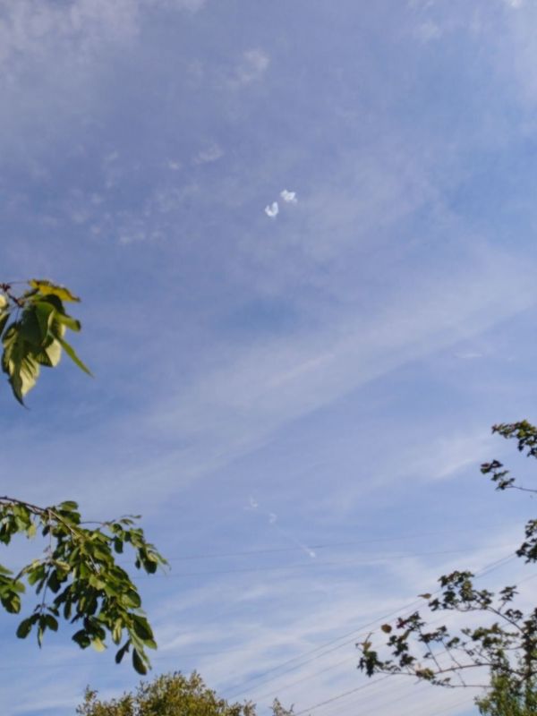 14:55. ��������. �������