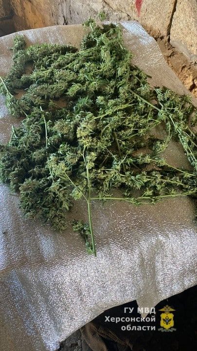 � ���������� ������������� ������ ����������� ���������� � ������� ������������ �������, �������������� � �����