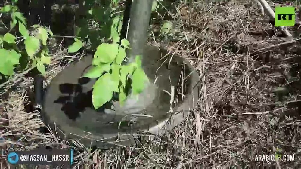 � ���������� ������� ��������� ������ �������� ���������� ��������� ���������� �����������-���������������� ������