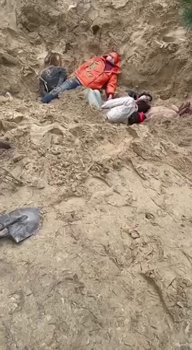 ����� �������� ��������