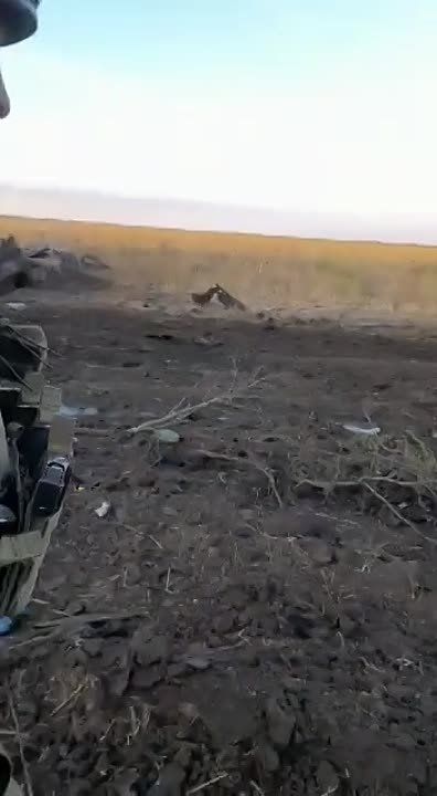 ���������� ������� � ������������ ������� ��� � ����������� �������