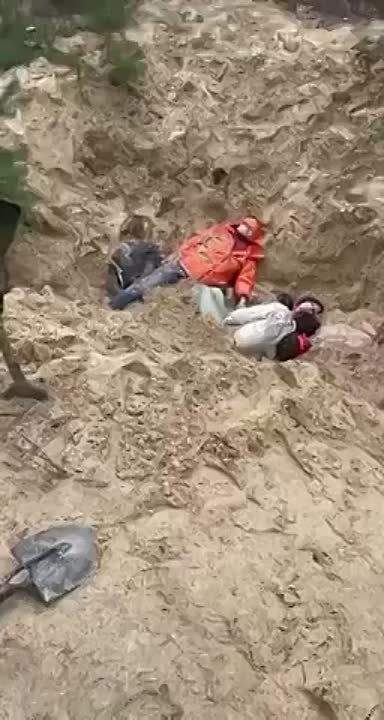 ������ ����������: �������� ���� ����������� � �������