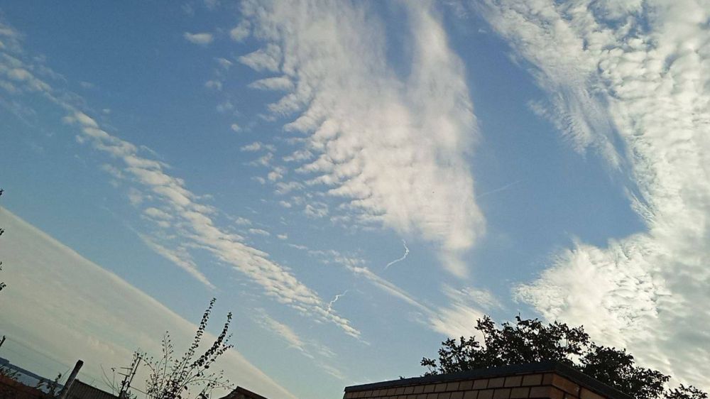 ��� ���� �������� ���������� ���