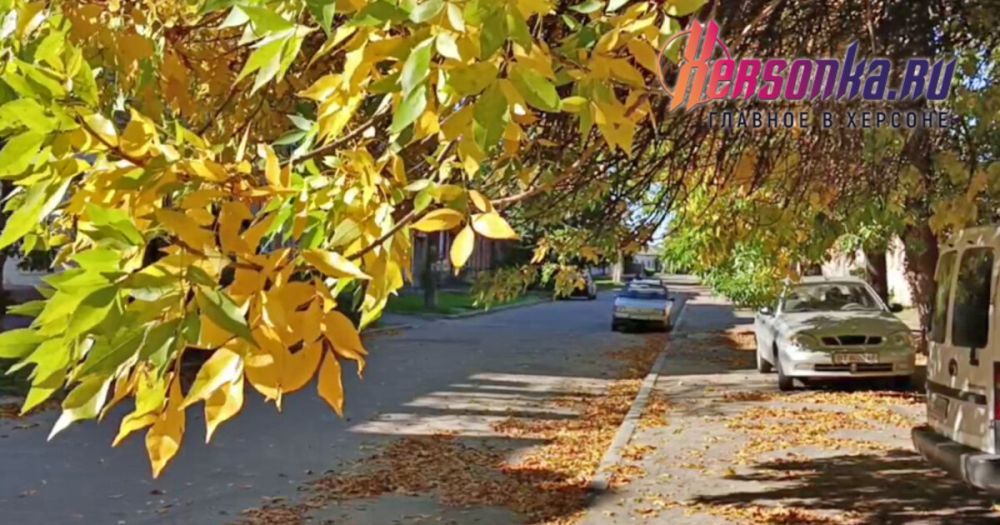 ������� ������ ������� � ��������