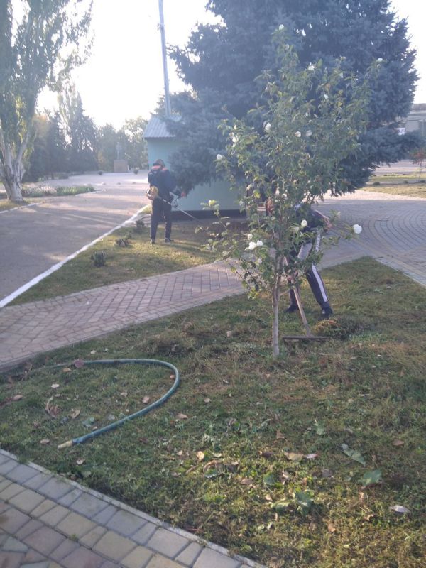 ������������ ������ ������������