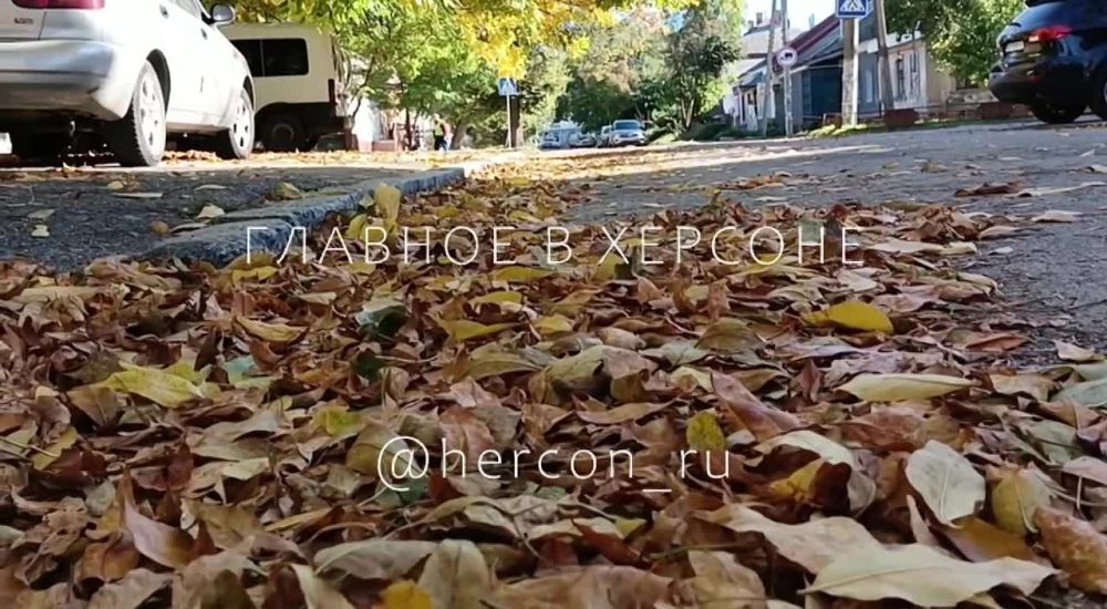 ����� ��, ������� ������ � ���������, ��������������, �����