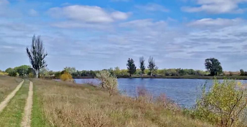 ���������� ������ ��������� ����� ����� ����������������� ������