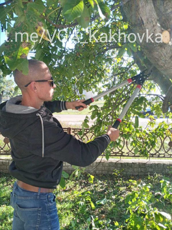 � �������������� �� ������� ������ �� ���������������