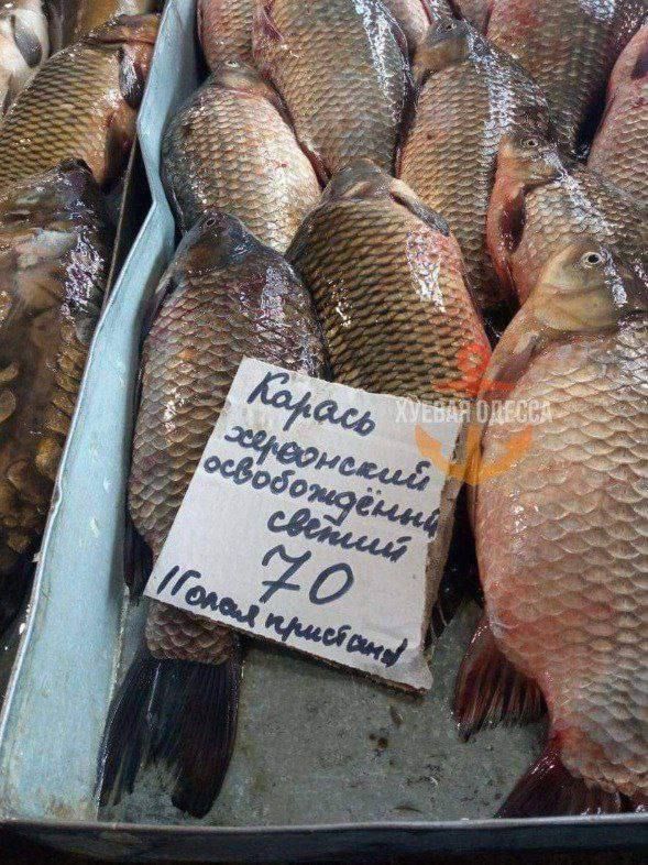 � ������ �����!. ��� �������� �� ������ ����������