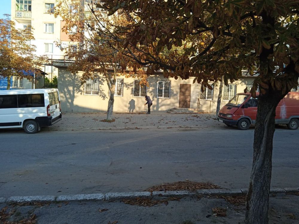 �������� �� ������ �������� � ��������� ������������ ������ � ��������������� ����������