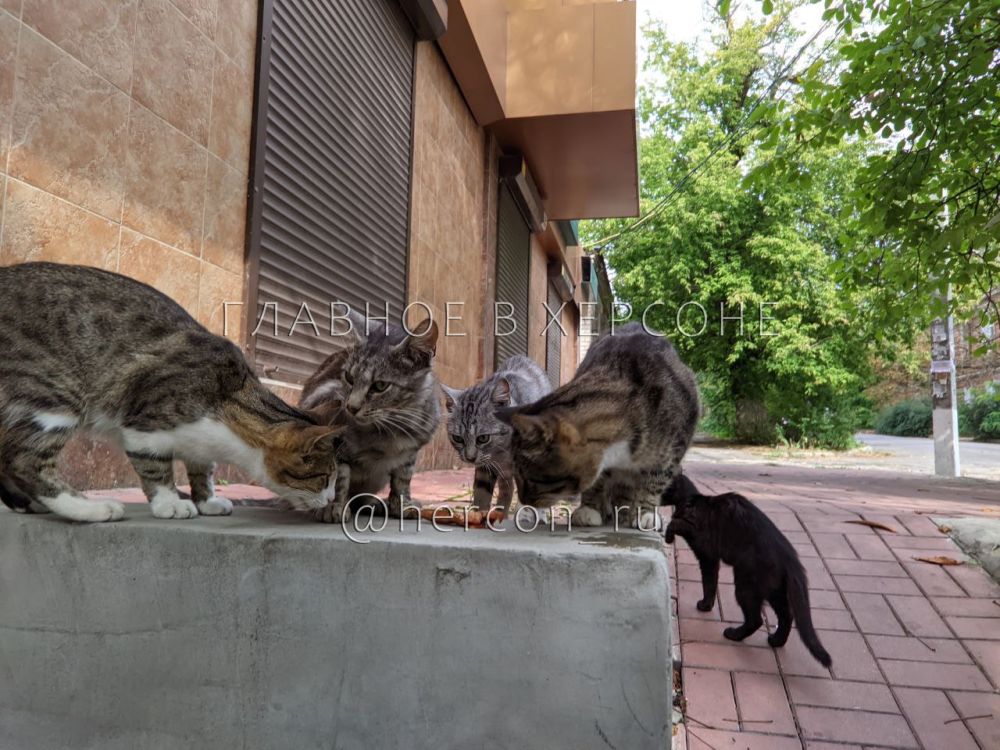 ���������� �������� ������ � ����� ����