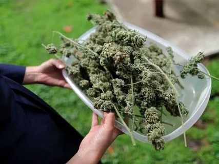 � ������� ���������� ������� � ������� ������������ ���������� ���������