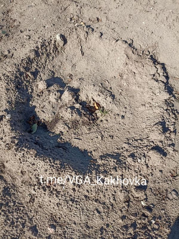 �������������� � ������� �������� ������� ���������� ������� ���