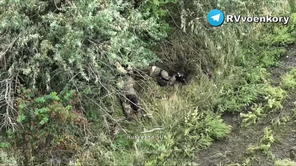 Ƹ����� ����� ����� �� ����������: 247-� ������� ���� ��� ���������� ��� ������� �� ��������� RVvoenkor