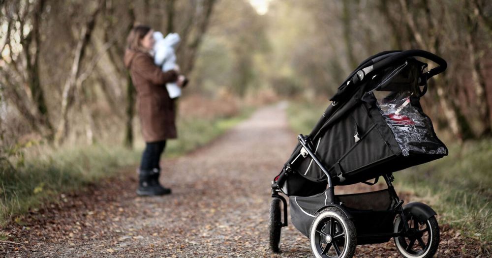 ������� �� ���������� ������� ����������� ������� �� �� ����������