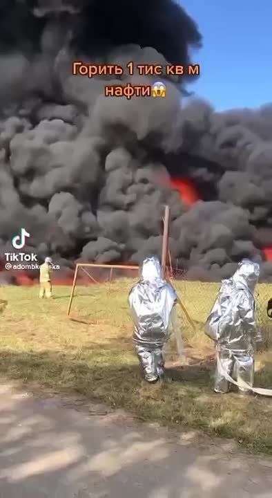 ��� ������ ��������� �� ������