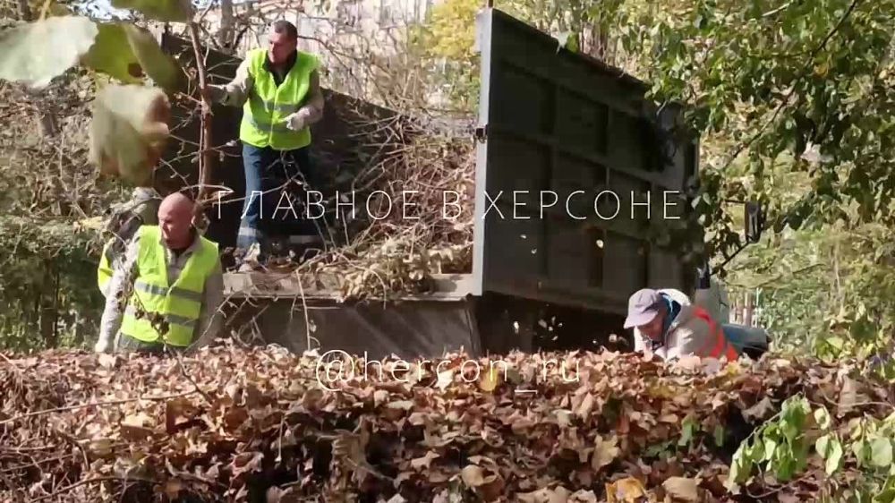 ��� ����� ����� �������, ������� ������ ����� ������ � �����-�������� ��������� �������� �� ����� �������