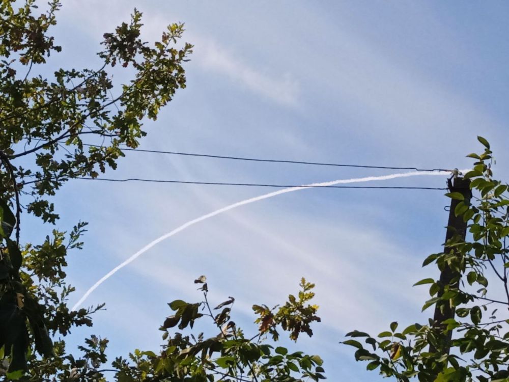 10:00. ��� ���������� �������