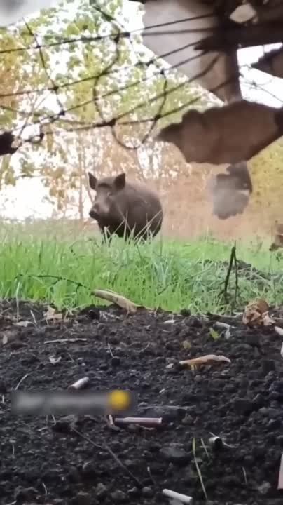 �� ���������� ����������� �������� ��� ����������