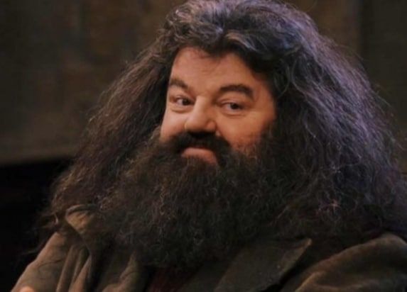 ���� ����� ����� ��������, ��������� �� ���� ������� � ������ �������