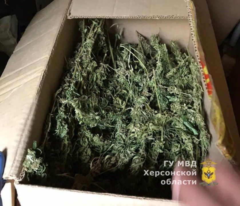 � ��������� ���������� ������� � ������� ������������ �������� ������ ���������� ����������� �������