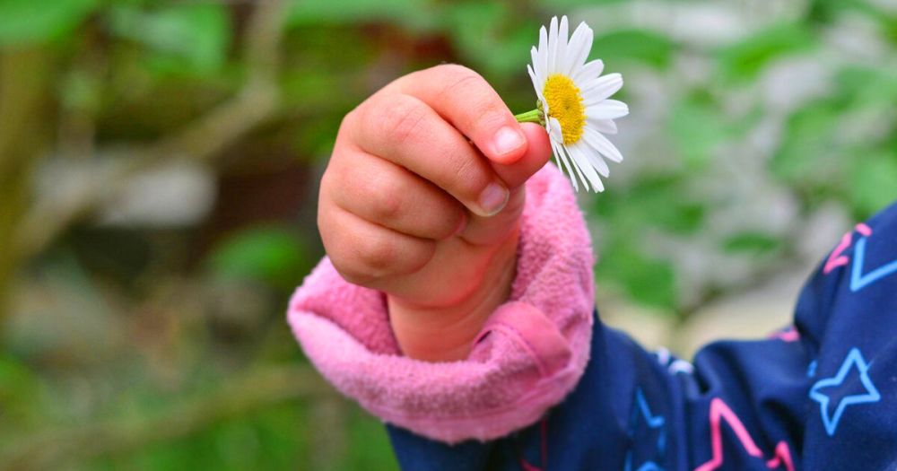 � ���������� �������� ����� ������� ���