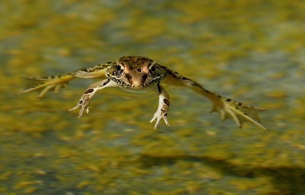 �� ���������� ����������� "����" �������� ������� ��������� "������"