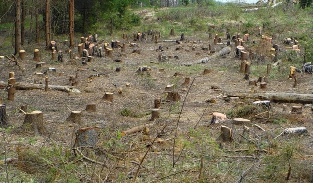 ������� ��������� ����������� �� ���������� ������� ����������