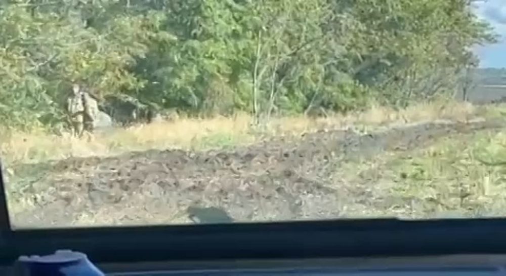 �������� �������� �� ������