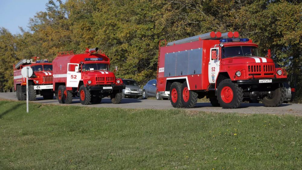 ������� ������� � ��������� ���: 15 �������