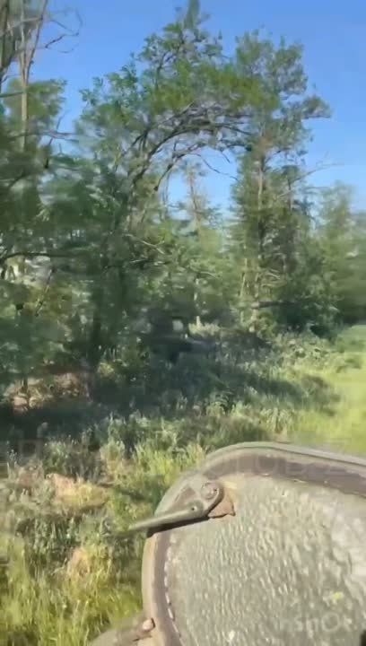 ��� ������ ���� � �������� �������, �����-�� � ������ 2016� ���� ����������� ����� "��������� ������" ������ ��� 2022, �� �� � ��������� �������� "�������� ����*