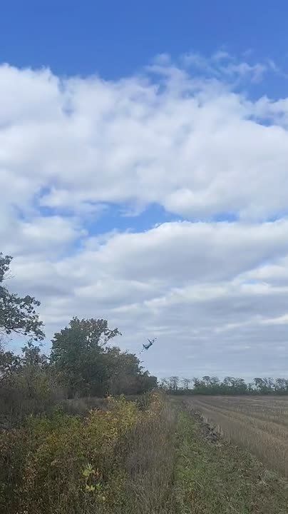 �� ���������� ����� ���������� � ����, � ���� ����������� ������� ����������� � ���������� ������� ���������� ���������� ����������� ������������ �������, ���������� � ��� ����� � � �������� �������� � ���������� �������