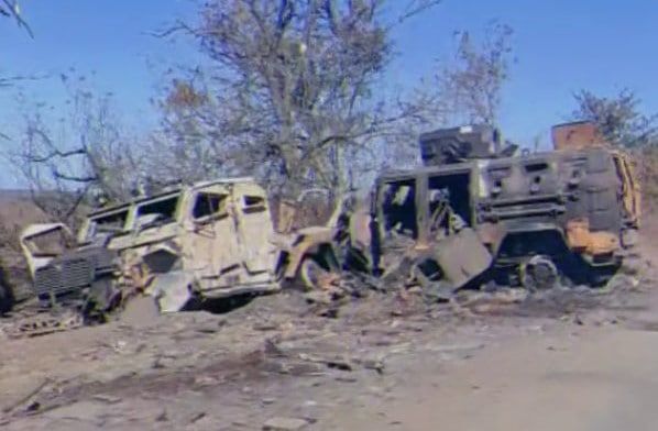 ����������� ����� �� ����������: ������ ������ ���������� ���� ���������� ��������������� Husky