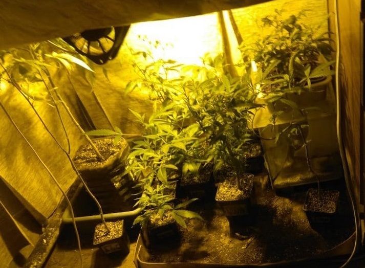 ����������� ���������� ����������������