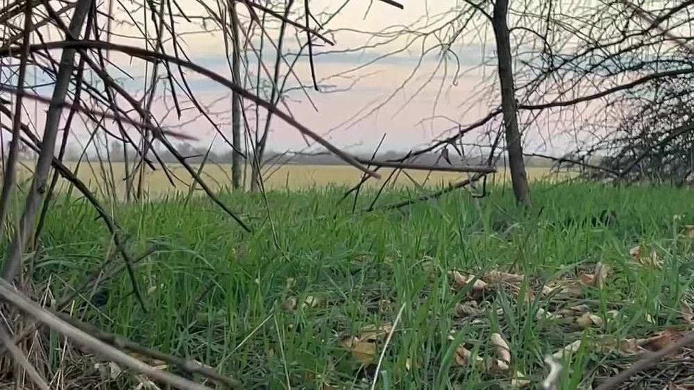 ������ ����������: ���� �������� ������� ������ ���� ������ �� ���������