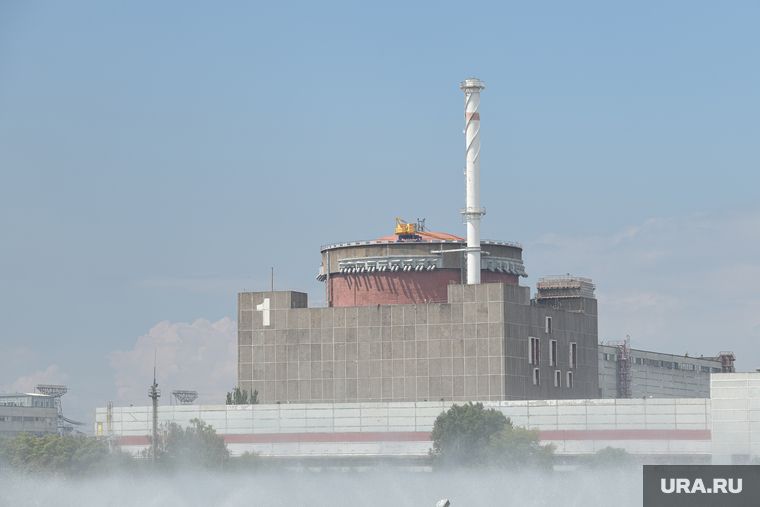 ����� �������� ����� ������� ������� �� ������� ����������� ���