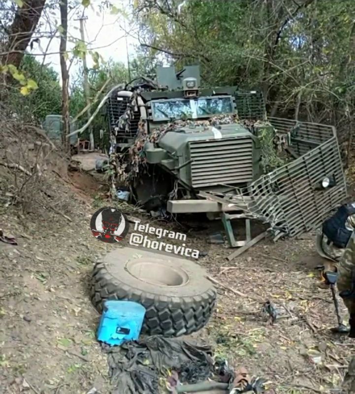 ����������� ���� ������� �������� ��� ���� ���������� Mastiff � ���������� �������