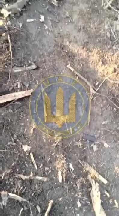 ����� �� ����������: �������� ������� ��� ��� ����������� ��� ��������� ������