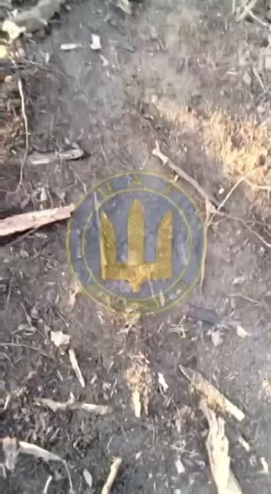 �������� ���������� ������� � ���������� �������