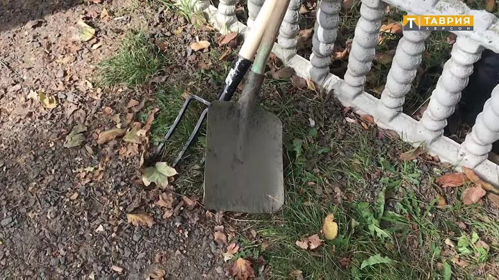 �� ���������� ���������� ���������� ��������� ������������� �������