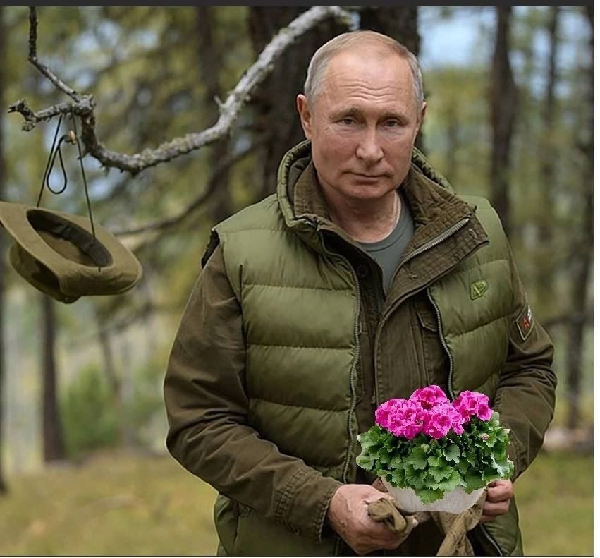 � ����� � ������ ������