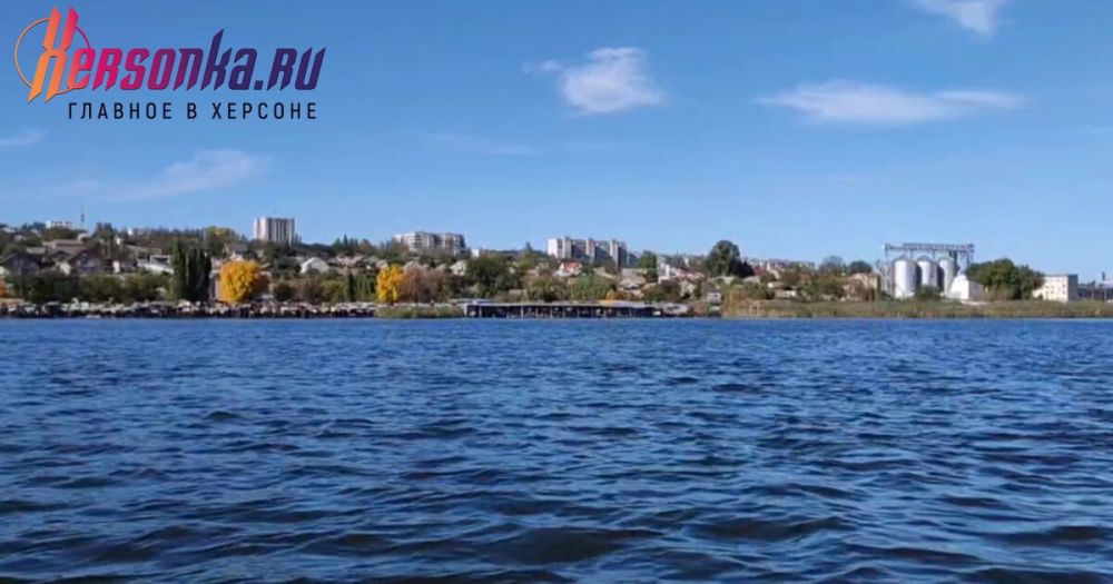 ����������: ������������ ������ � ���������� ������� ������ ��� ��� �������������