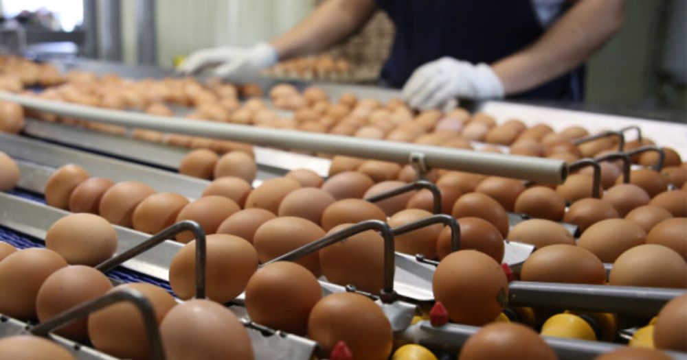 ��-�� ������ ���������� ������� ���� �� ���� � ������� ���� �������