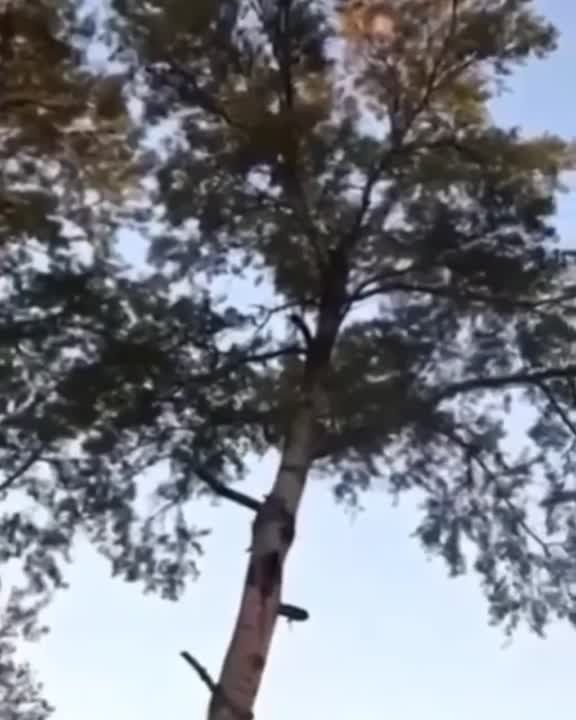 ���������� ������� ����� ��������� ����� �� ������ � ���� ��� ������, ������� ����� �� �� ���������.))) � ������������ ���������� ������� ��������� ����� � ������� � ���� �� ���������� ������� � ������� � ������������� ������