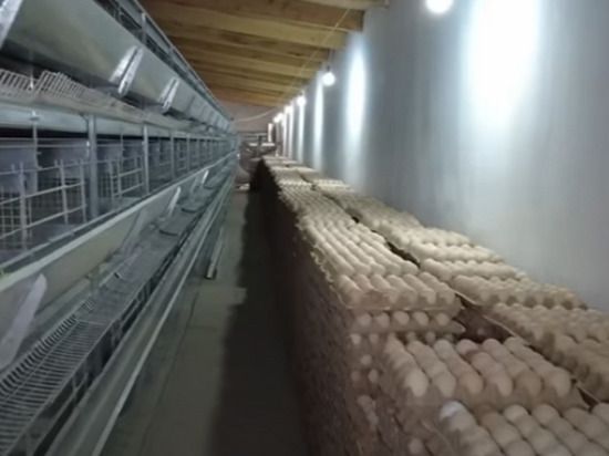 ������ ���������� ������� ������� ����������� ��� �� �������