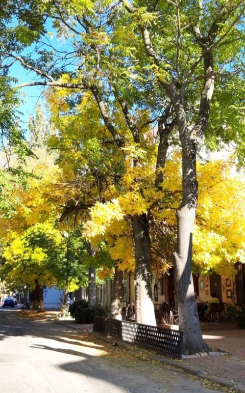 � ������� ������� �������� ������ "������ �����"