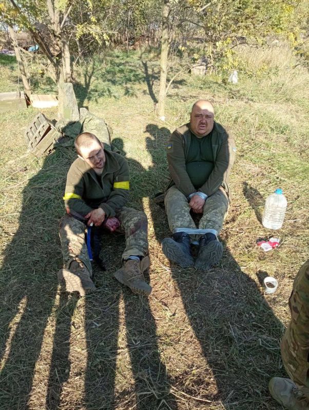 ���������� ��������� ������������ ������� ����������� ��������� �� ������������ �����������